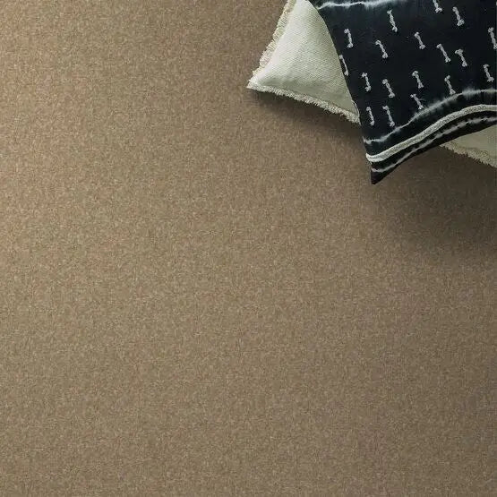 Pet Perfect - Sasha - Carpet Anderson Tuftex