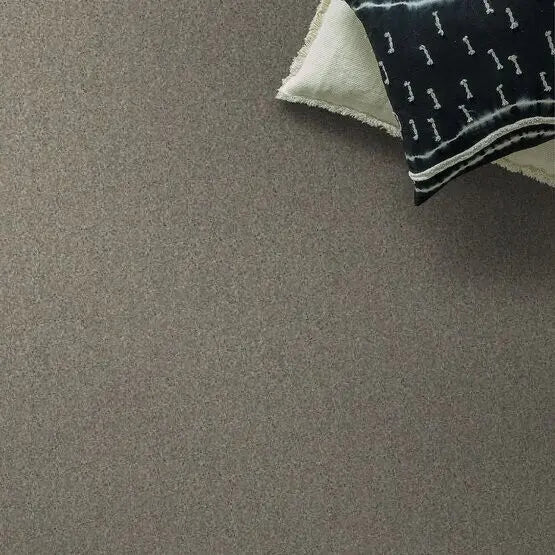Pet Perfect - Sasha - Carpet Anderson Tuftex
