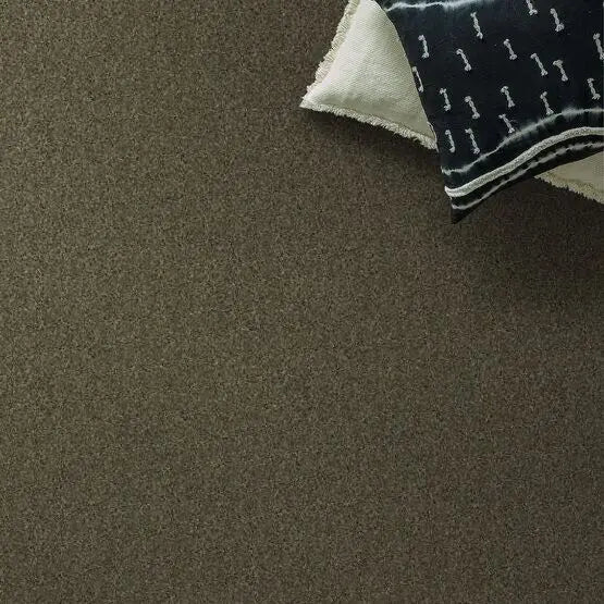 Pet Perfect - Sasha - Carpet Anderson Tuftex