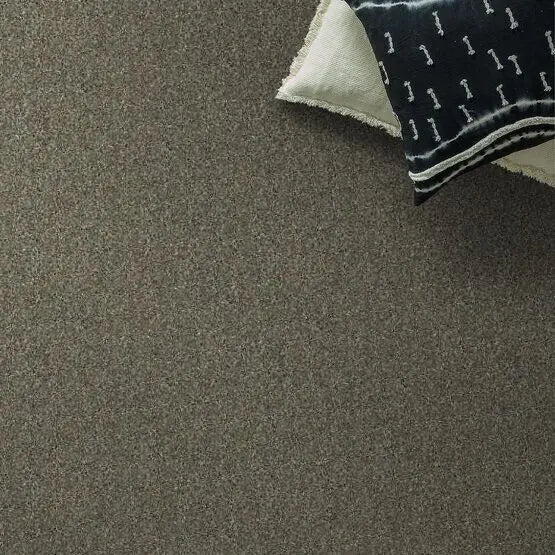 Pet Perfect - Sasha - Carpet Anderson Tuftex