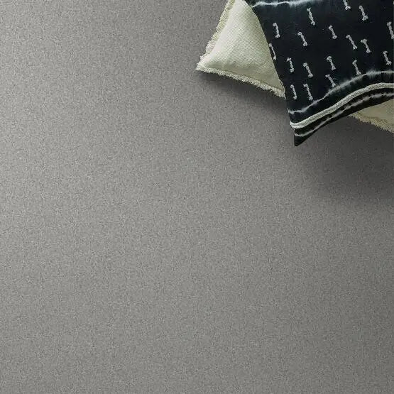 Pet Perfect - Gus - Carpet Anderson Tuftex