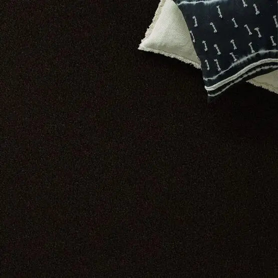 Pet Perfect - Gus - Carpet Anderson Tuftex