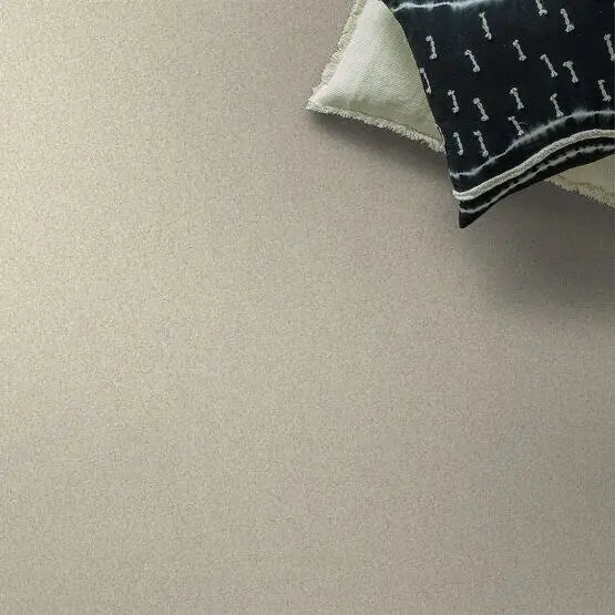 Pet Perfect - On Point - Carpet Anderson Tuftex