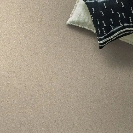 Pet Perfect - On Point - Carpet Anderson Tuftex