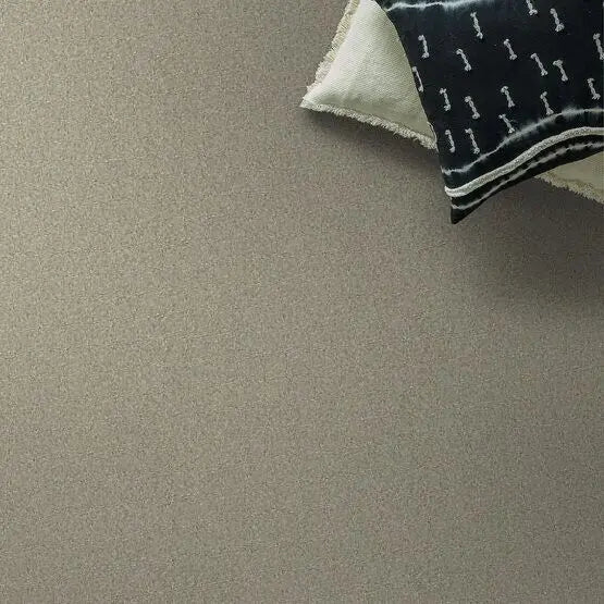 Pet Perfect - On Point - Carpet Anderson Tuftex