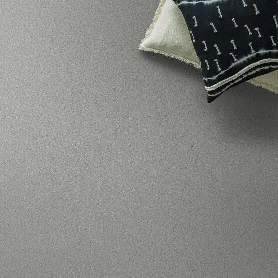 Pet Perfect - On Point - Carpet Anderson Tuftex