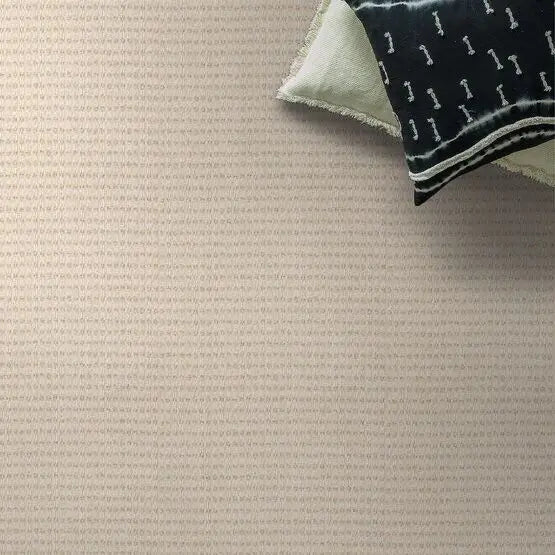 Pet Perfect - Abbey's Road - Carpet Anderson Tuftex