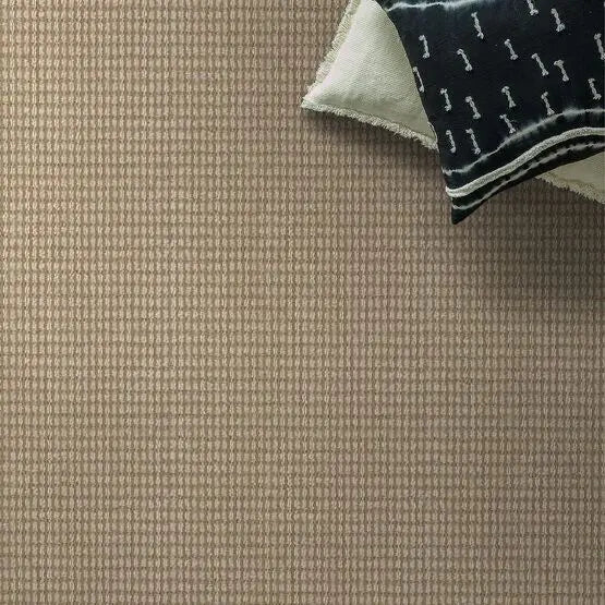 Pet Perfect - Abbey's Road - Carpet Anderson Tuftex