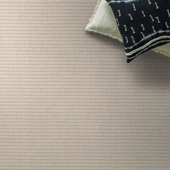 Pet Perfect - Abbey's Road - Carpet Anderson Tuftex