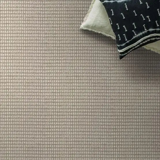 Pet Perfect - Abbey's Road - Carpet Anderson Tuftex