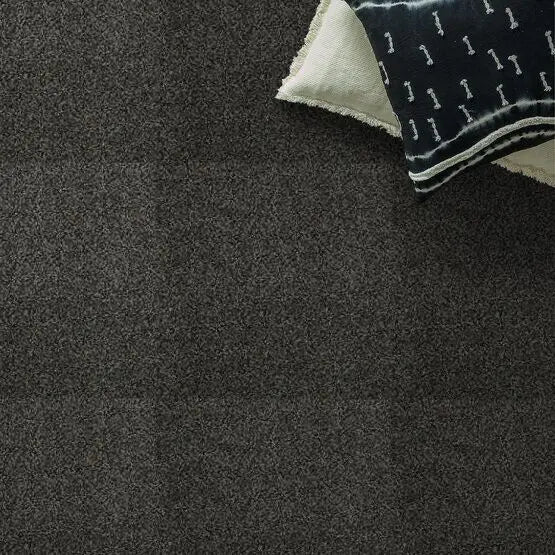 Pet Perfect - Oliver's Twist - Carpet Anderson Tuftex