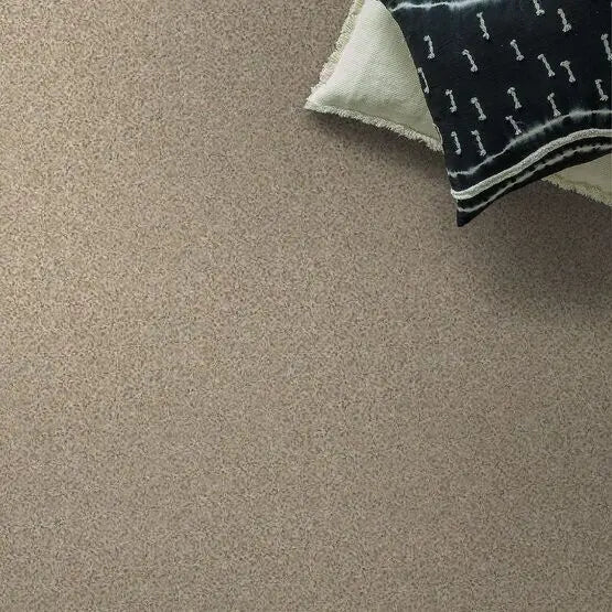 Pet Perfect - Mollie's Turn - Carpet Anderson Tuftex