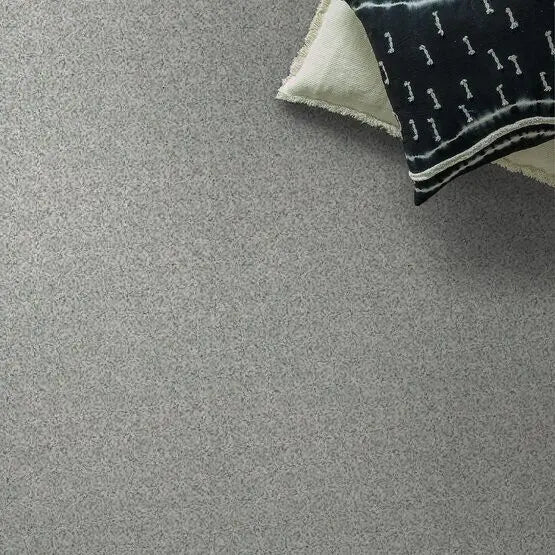 Pet Perfect - Mollie's Turn - Carpet Anderson Tuftex