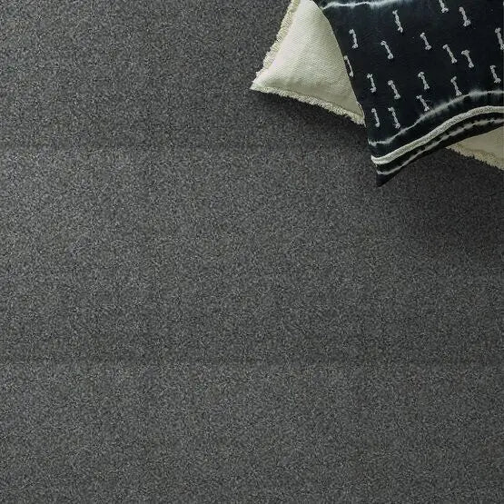 Pet Perfect - Mollie's Turn - Carpet Anderson Tuftex