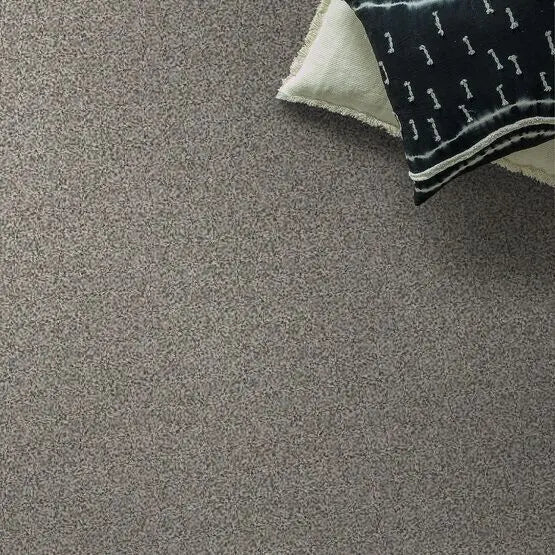 Pet Perfect - Mollie's Turn - Carpet Anderson Tuftex