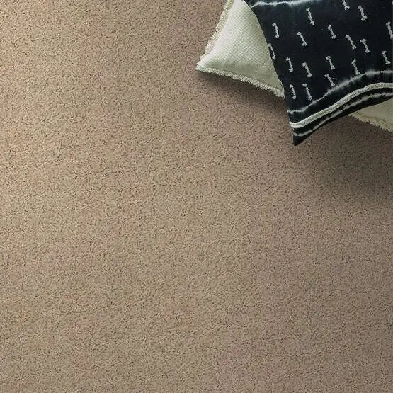 Classics - Del Morro - Carpet Anderson Tuftex