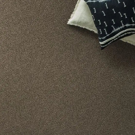 Classics - Del Morro - Carpet Anderson Tuftex