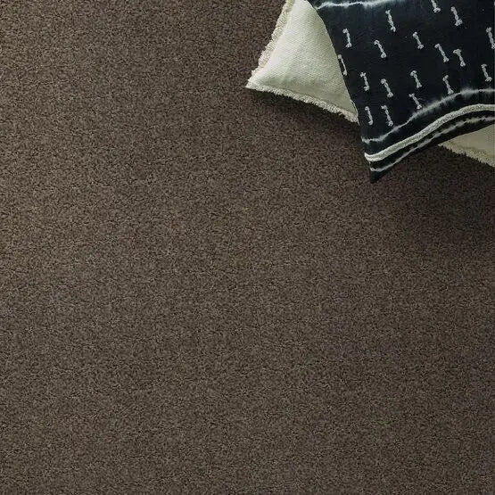 Classics - Del Morro - Carpet Anderson Tuftex