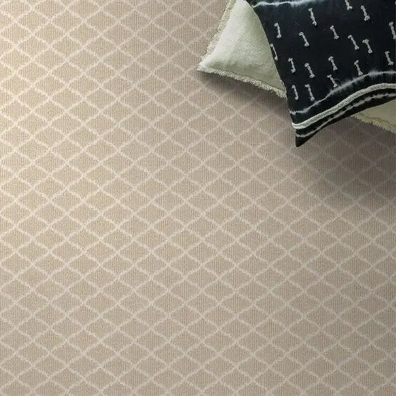 Pet Perfect - Springer's Point - Carpet Anderson Tuftex