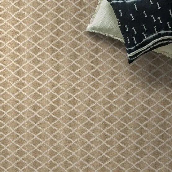 Pet Perfect - Springer's Point - Carpet Anderson Tuftex