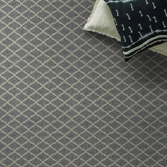 Pet Perfect - Springer's Point - Carpet Anderson Tuftex