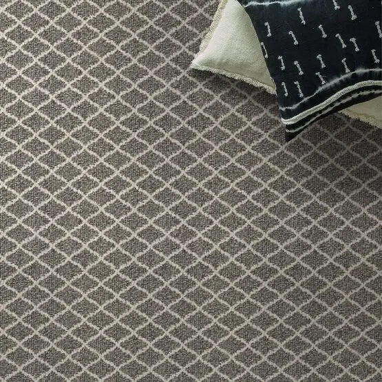 Pet Perfect - Springer's Point - Carpet Anderson Tuftex