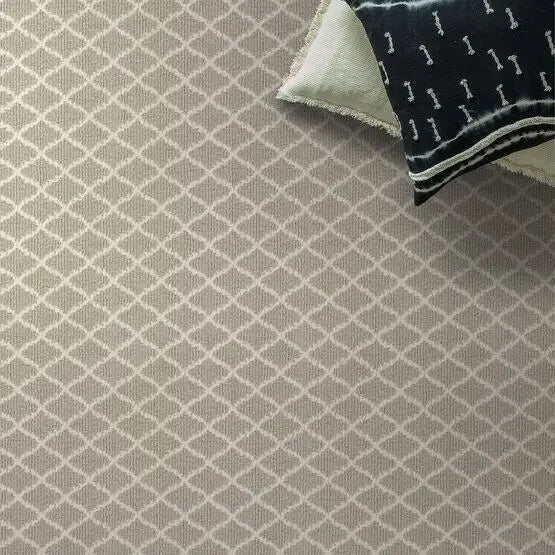 Pet Perfect - Springer's Point - Carpet Anderson Tuftex