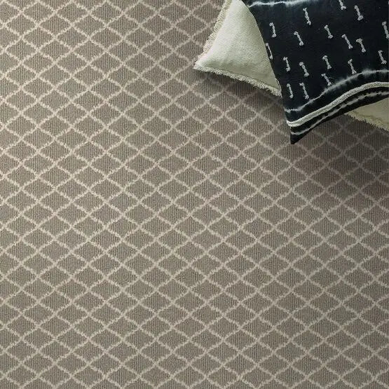 Pet Perfect - Springer's Point - Carpet Anderson Tuftex