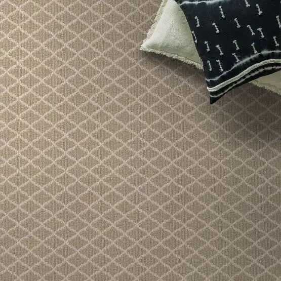 Pet Perfect - Springer's Point - Carpet Anderson Tuftex