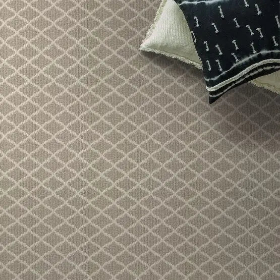 Pet Perfect - Springer's Point - Carpet Anderson Tuftex