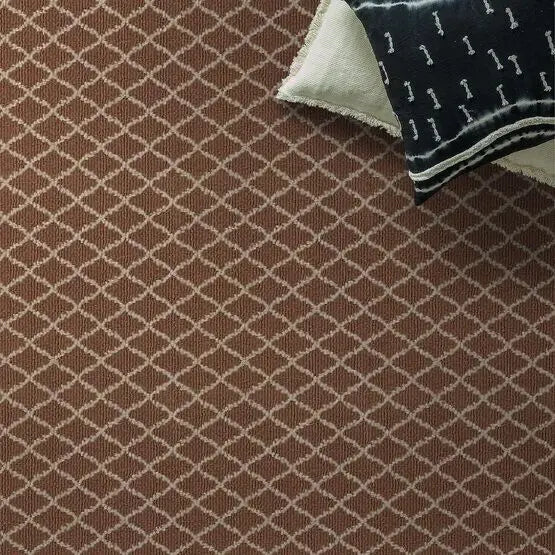 Pet Perfect - Springer's Point - Carpet Anderson Tuftex