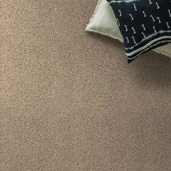 Classics - Ensemble - Carpet Anderson Tuftex