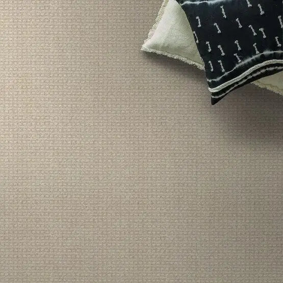 Pet Perfect - Fetch - Carpet Anderson Tuftex