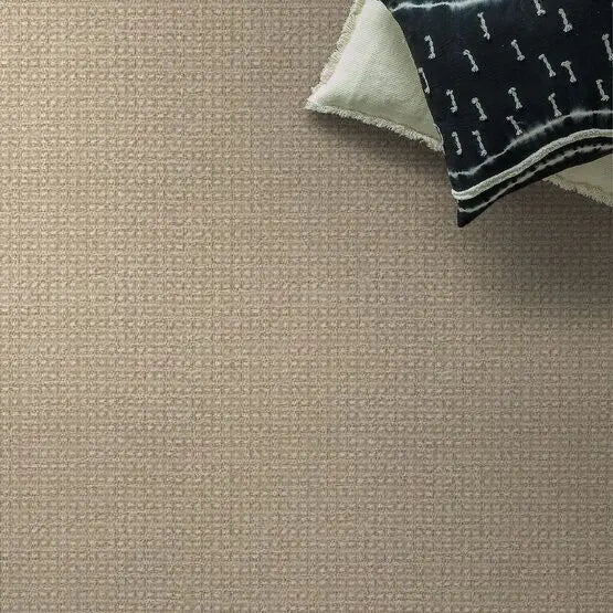 Pet Perfect - Fetch - Carpet Anderson Tuftex