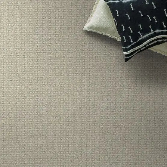 Pet Perfect - Fetch - Carpet Anderson Tuftex