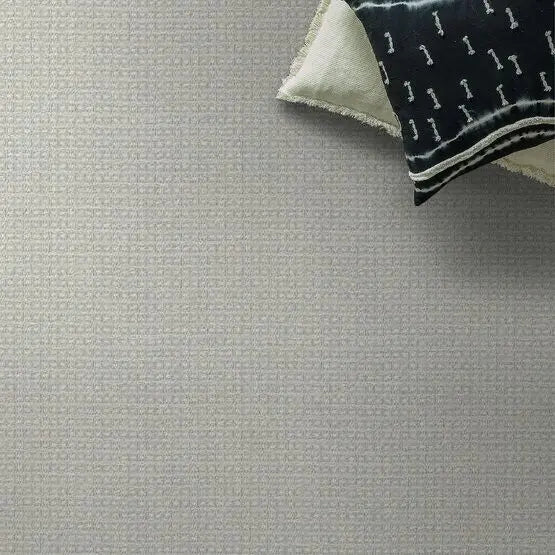 Pet Perfect - Fetch - Carpet Anderson Tuftex