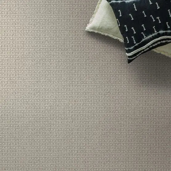 Pet Perfect - Fetch - Carpet Anderson Tuftex