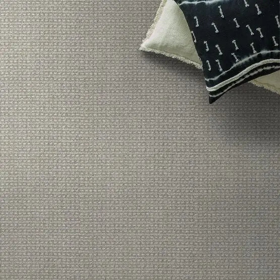 Pet Perfect - Fetch - Carpet Anderson Tuftex