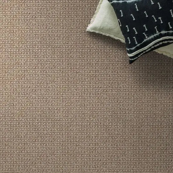 Pet Perfect - Fetch - Carpet Anderson Tuftex