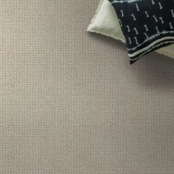 Pet Perfect - Fetch - Carpet Anderson Tuftex