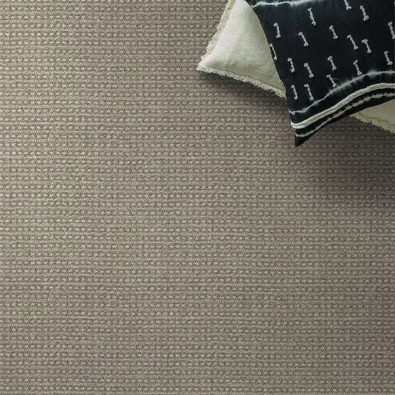 Pet Perfect - Fetch - Carpet Anderson Tuftex