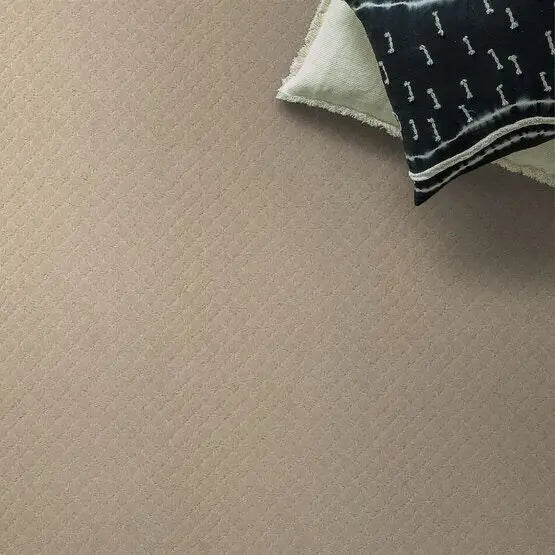 Pet Perfect - Pawnache - Carpet Anderson Tuftex