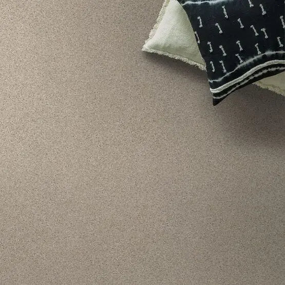 Pet Perfect - The Bark Side II - Carpet Anderson Tuftex