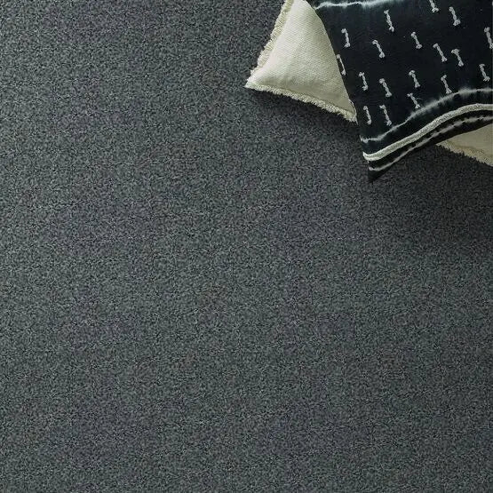 Pet Perfect - The Bark Side II - Carpet Anderson Tuftex