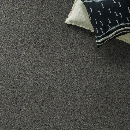 Pet Perfect - The Bark Side II - Carpet Anderson Tuftex