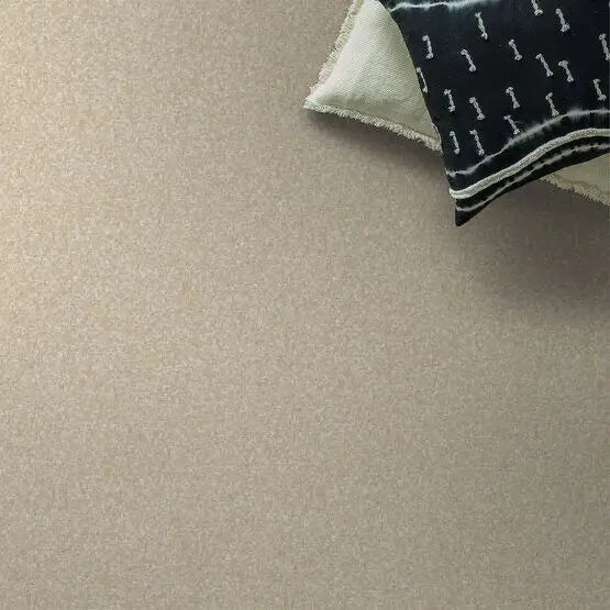 Pet Perfect - Pawparazzi I - Carpet Anderson Tuftex