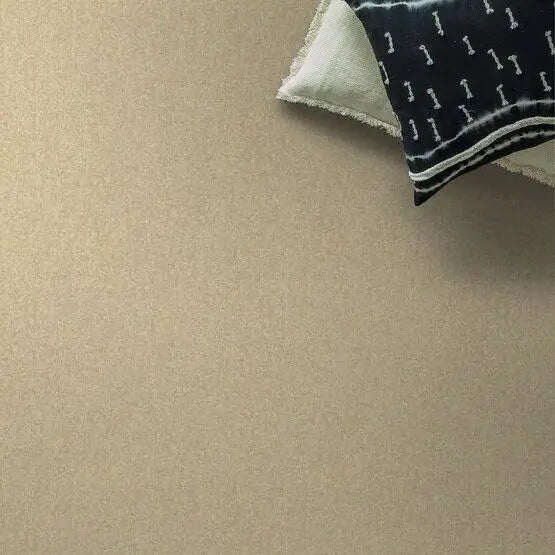 Pet Perfect - Pawparazzi I - Carpet Anderson Tuftex