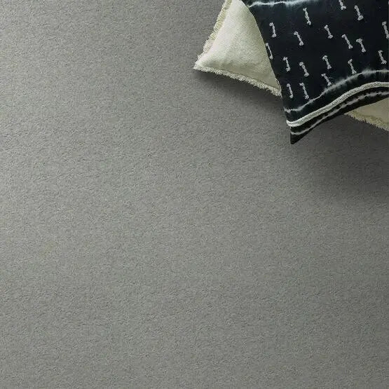 Pet Perfect - Pawparazzi I - Carpet Anderson Tuftex