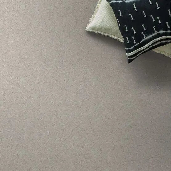 Pet Perfect - Pawparazzi I - Carpet Anderson Tuftex