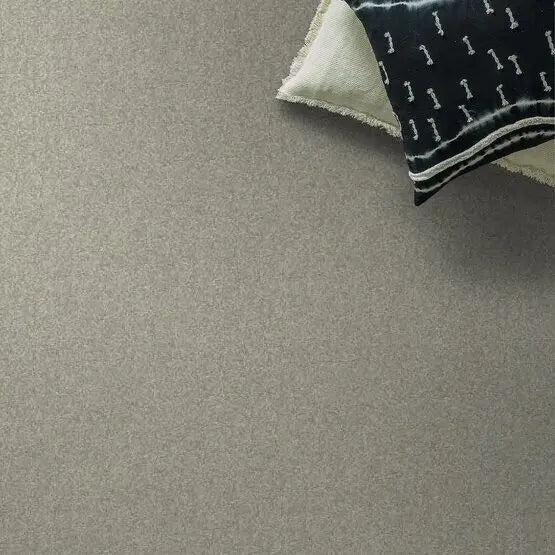 Pet Perfect - Pawparazzi I - Carpet Anderson Tuftex